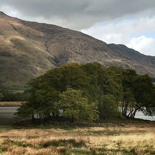 Dummy Header Image Dummy Header Image